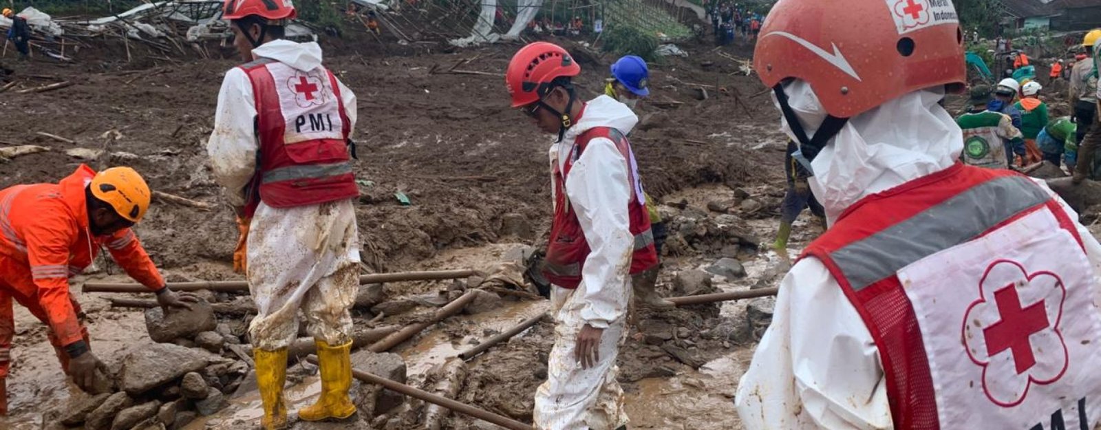 WhatsApp Image 2026 01 29 At 10.56.52